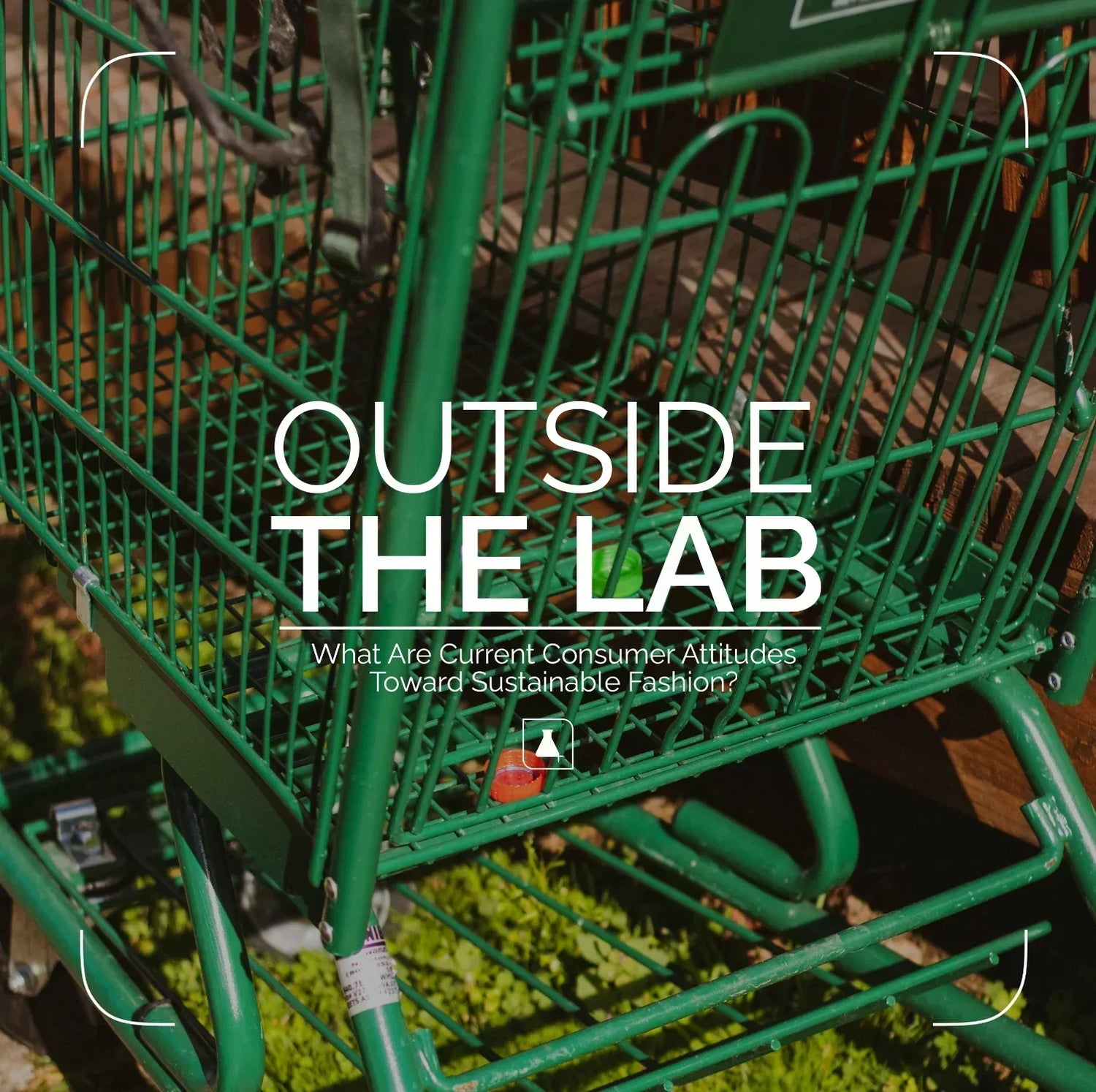 What Are Current Consumer Attitudes Toward Sustainable Fashion?